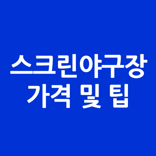 스크린야구장 가격 및 팁