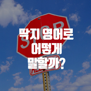 성인영어학습지 마잉스 :: 주차위반 딱지 영어로 어떻게 말할까요?