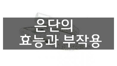 은단 효능 및 부작용 섭취량 알고 먹자