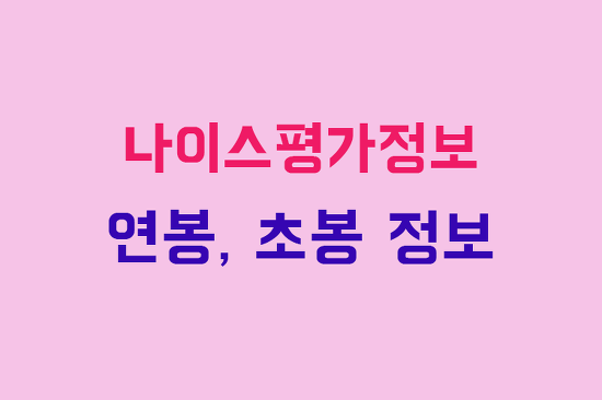 나이스평가정보 연봉, 초봉, 채용 정보 완벽 정리 :: 부자재벌이야기