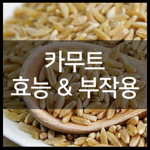 카무트 판매하는곳 및 효능부터 먹는 방법 정리