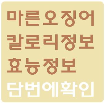 마른오징어 칼로리, 효능 :: 세상여행tv