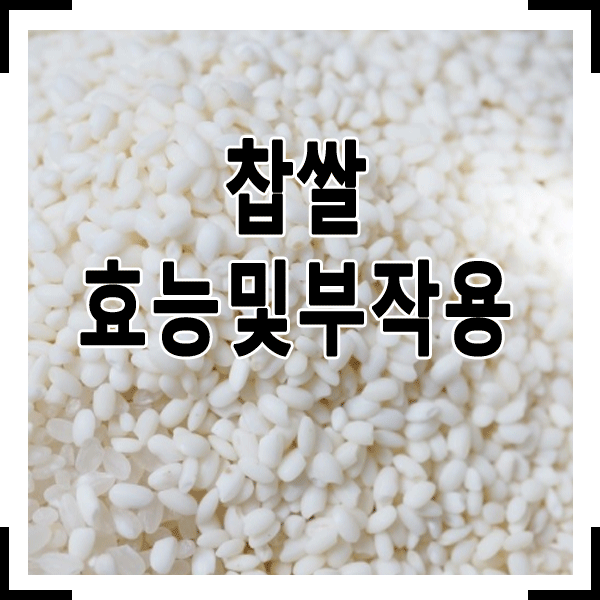 찹쌀 효능 8가지 및 부작용 알아보기