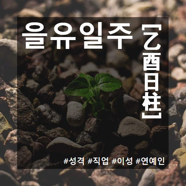 을유일주(乙酉日柱) 남자와 여자