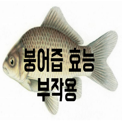 붕어즙 효능 부작용 총정리!