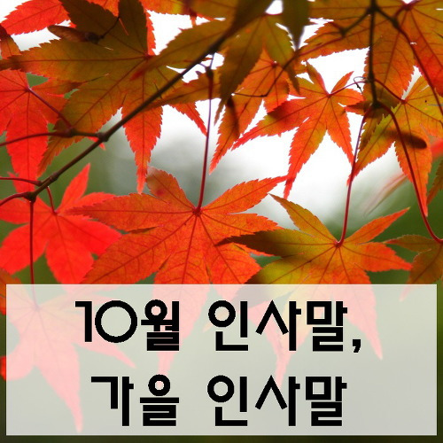 10월 인사말, 가을 인사말 모음