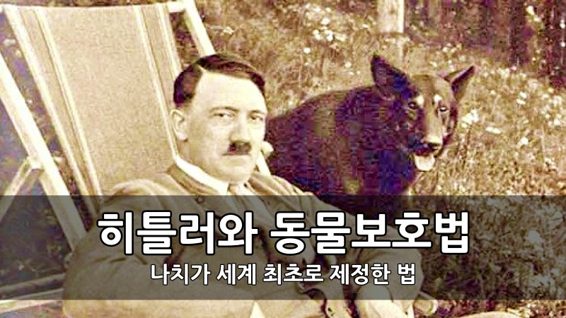 히틀러와 동물보호법 - 나치가 세계 최초로 제정한 법 :: 키스 ...