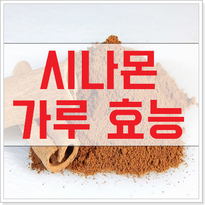 시나몬 가루 효능 먹는법 부작용 !!!