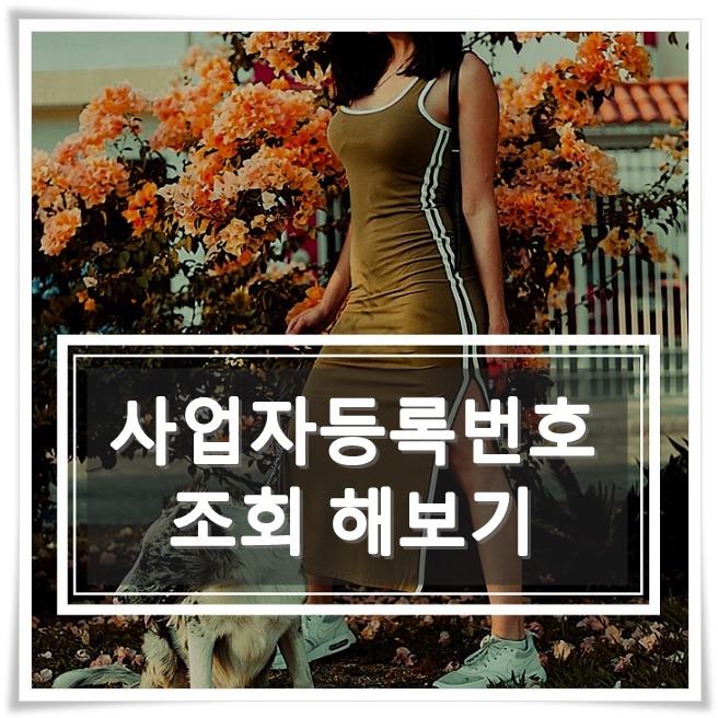 최소장의 놀이터~ :: 사업자등록번호로 상호,대표자명 조회하기