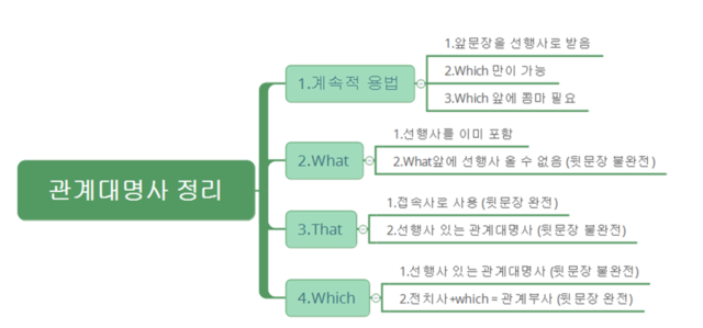 관계대명사 계속적 용법과 what,that,which 정리