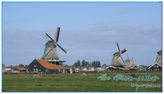 네덜란드 여행 #2 풍차 마을 (Zaanse Schans / 잔서 스한스)