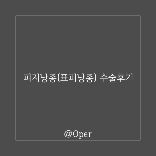 [ 피지낭종(표피낭종) 수술 후기 ]