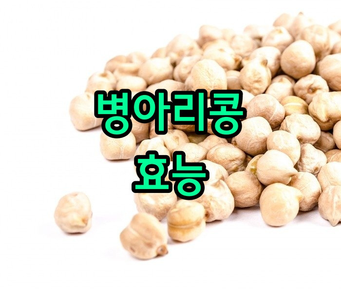 병아리콩 효능 부작용 제대로 알고 먹기(feat.먹는 방법)