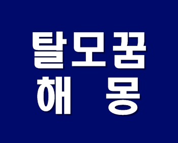 탈모꿈 및 머리빠지는꿈 해몽 상세히 정리!!