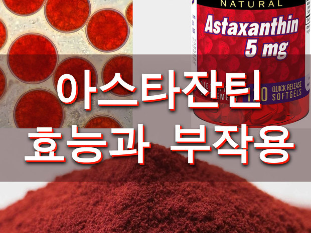 Astaxanthin(아스타잔틴) 효능과 부작용, 흡수력 올리기 | 효능백과