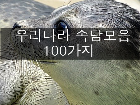 우리나라 속담모음 100가지 !