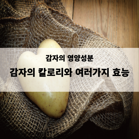 [식품정보] 감자 영양성분 :: 감자 칼로리와 여러가지 효능 :: Jimmy가 사는 세상