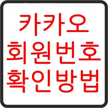 너와함께 :: 카카오 회원번호 확인하는 방법