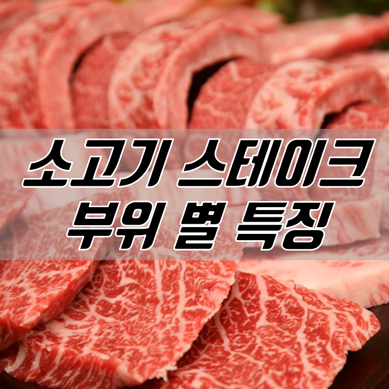 소고기 구이 스테이크 부위 별 특징 (살치살, 등심, 안심, 토시살, 안창살, 갈비살)