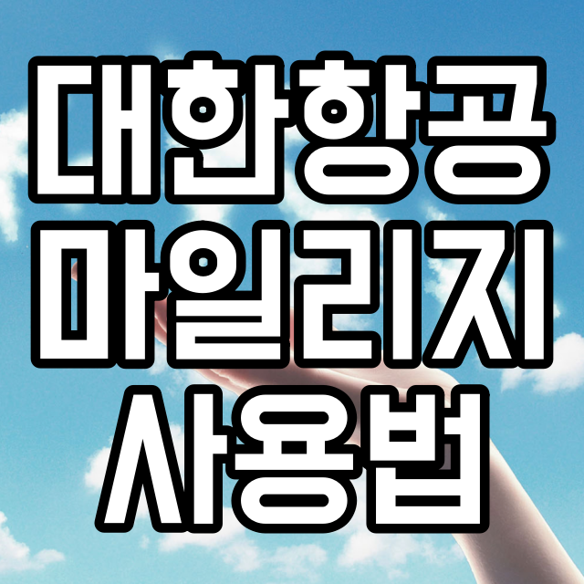 대한항공 마일리지 사용법 가성비 따져보고 이용하세요