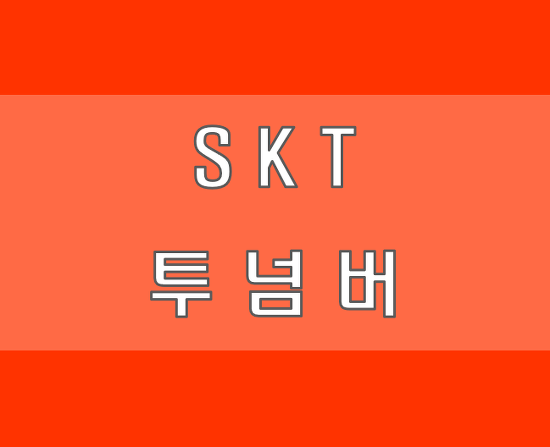 SKT 투넘버 하나의 전화로 전화번호 두개 사용해요