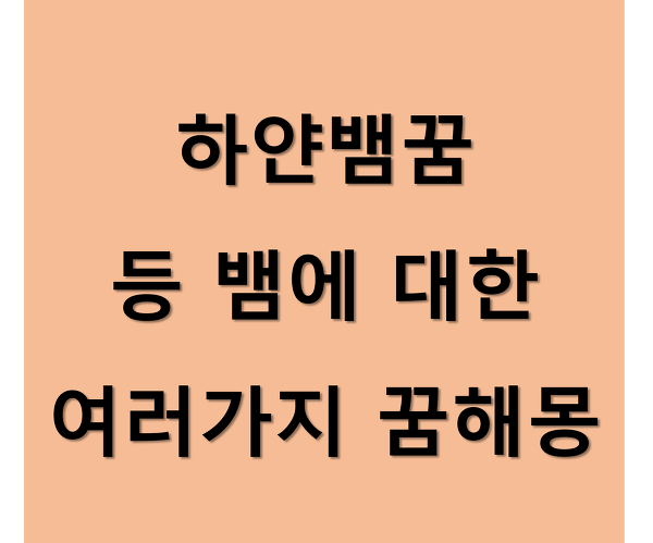 하얀뱀꿈 해몽 및 큰뱀꿈, 뱀한테 물리는 꿈,흰뱀꿈 태몽