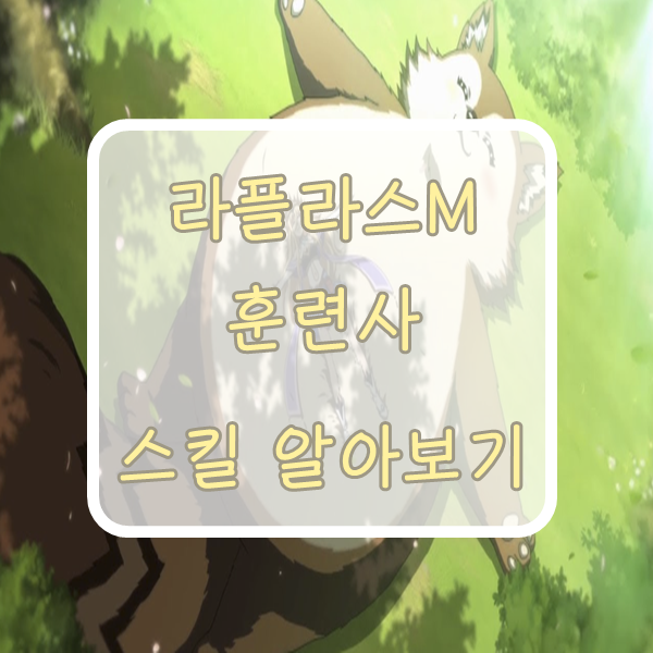 ■라플라스M 훈련사/소환사 스킬, 스킬조합 알아보기!■