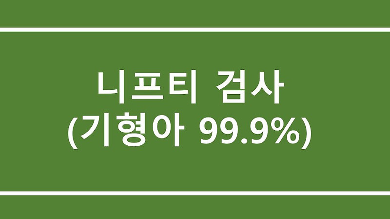 니프티 검사 후기(기형아 검사 99.9%)