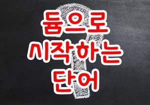 '듐'으로 시작하는 단어 알아봅시다