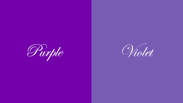 퍼플(Purple)과 바이올렛(Violet) 차이점