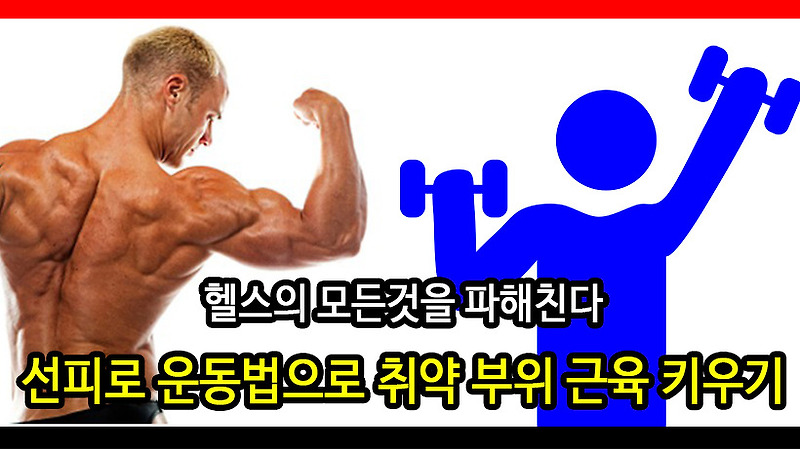 선피로 운동법 취약 부위 근육 키우는방법