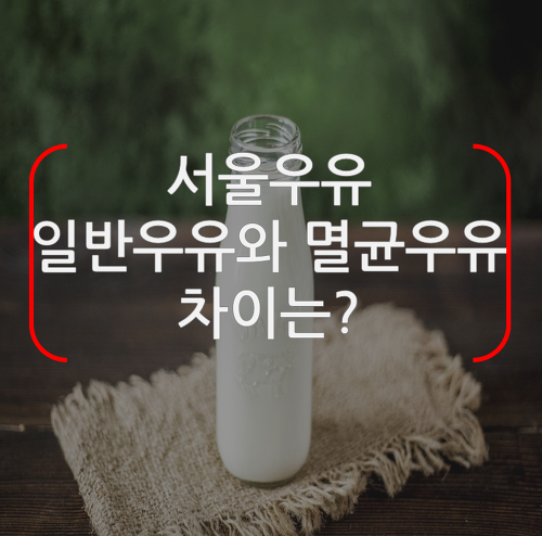 서울우유 멸균우유 장점 단점 차이