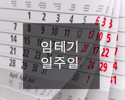 임신테스트기 일주일? 사용시기 바로 지키자