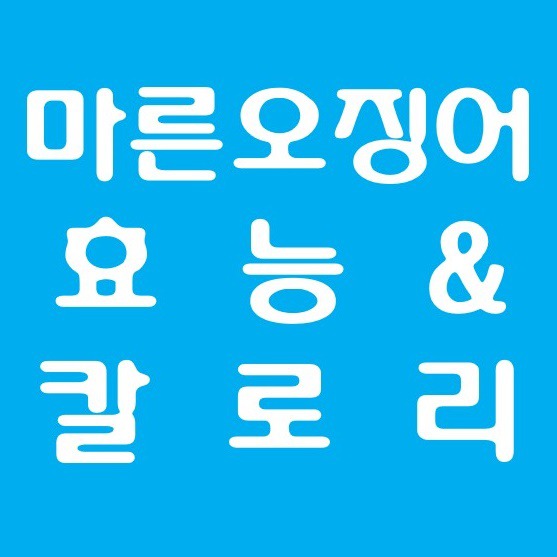 마른 오징어 효능, 칼로리 그리고 주의점은? :: 건강&일상정보