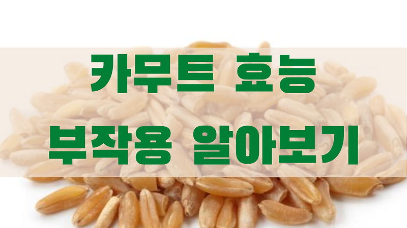 카무트 효능 부작용 가격 시리얼