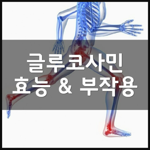 글루코사민의 효능 및 부작용부터 가격비교 정리