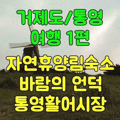 거제도 통영 가볼만한곳 1부, 바람의언덕 통영활어시장 자연휴양림