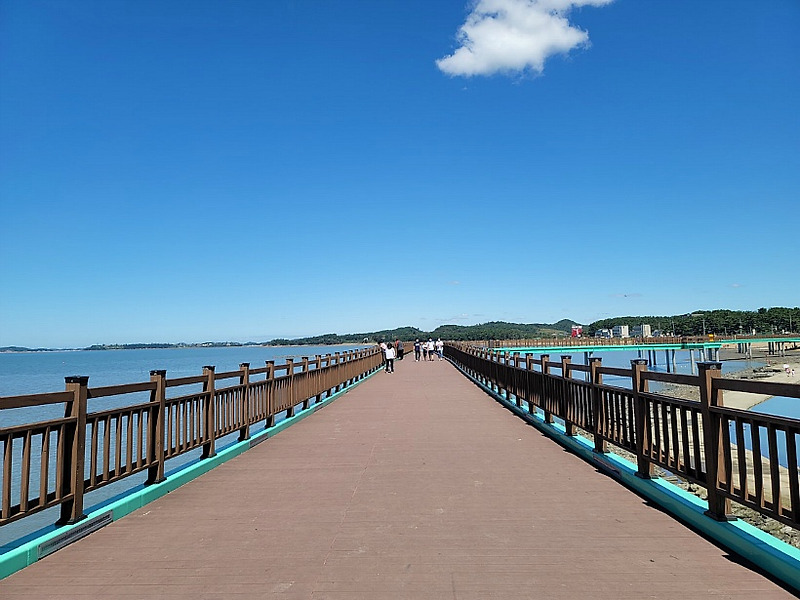 궁평항 차박 차크닉 솔밭 궁평리해수욕장 당일캠핑