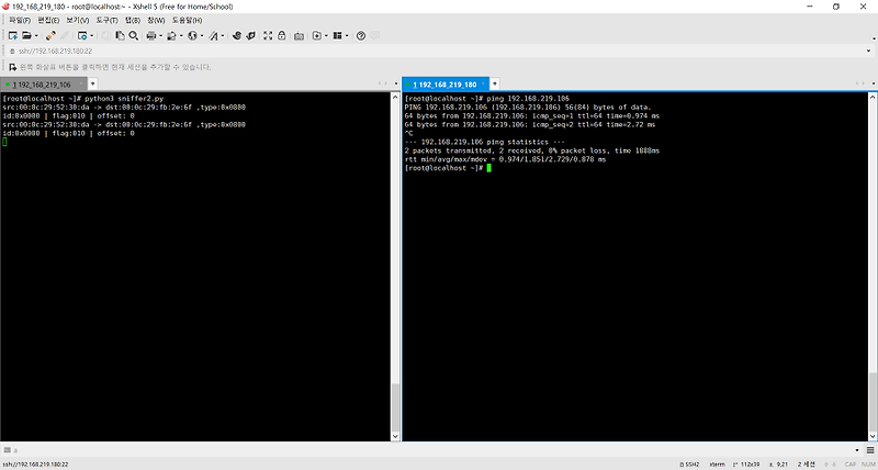 IP Packet 보내기 (ICMP)