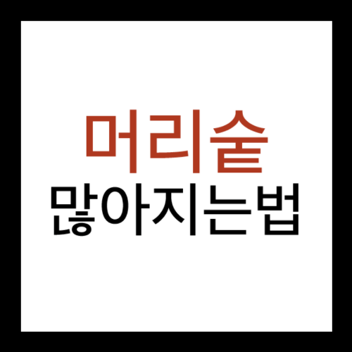 머리숱 많아지는법 정리