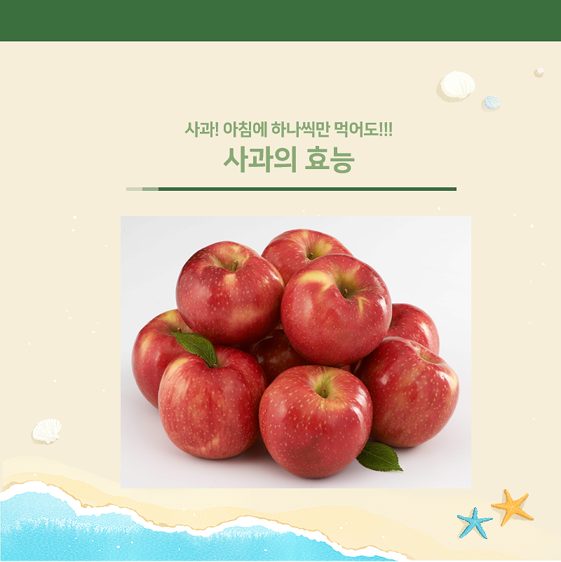 사과의 효능과 부작용 아침에 하나씩 먹어도!!!