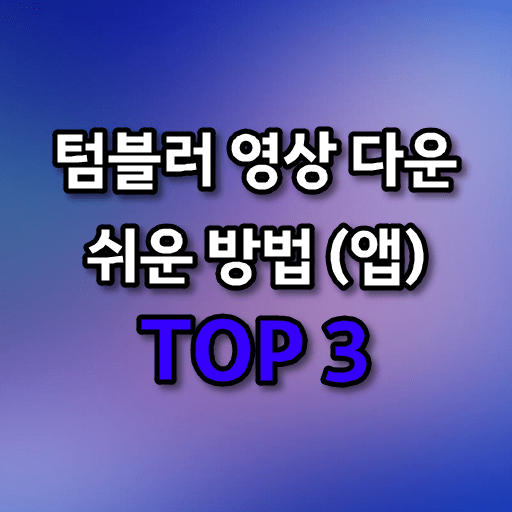 텀블러 동영상 다운로드 쉬운 방법 TOP 3 (사이트 + 어플/앱 추천)