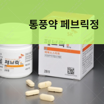 페브릭정 정확한 복용법 페브릭정40mg :: 가오만사성