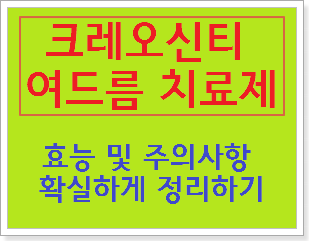 크레오신티 여드름 치료제 효능 및 주의사항 확실하게 정리하기 :: 건강하고아름다운인생