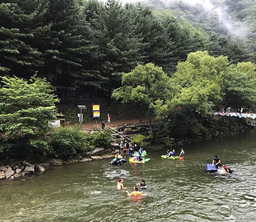 강원도 계곡 캠핑장은 선바위 캠핑장 추천