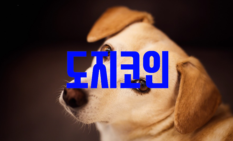 도지코인 전망, 호재, 시세, 거래소 및 DOGE 기본정보 (대박상세)