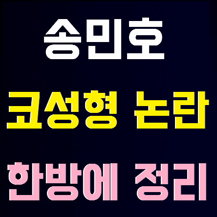 송민호 코성형 논란 한방에 정리 - 여혐