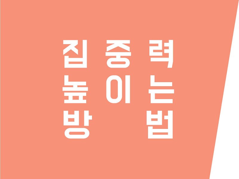 뇌의 기본 원리로 알아본 집중력 높이는 방법 12가지