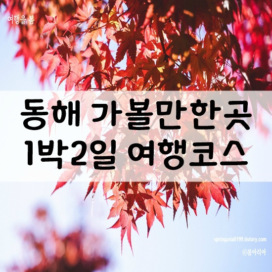 강원도 동해 가볼만한곳 동해안 여행 당일치기