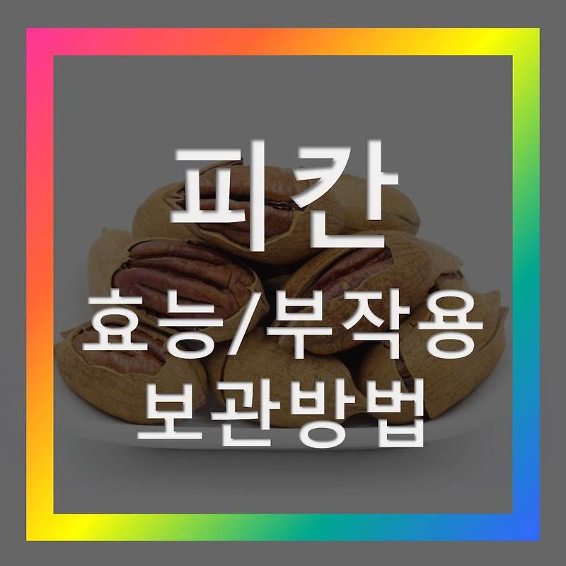 피칸의 효능 부작용 하루섭취량 - 인포지아